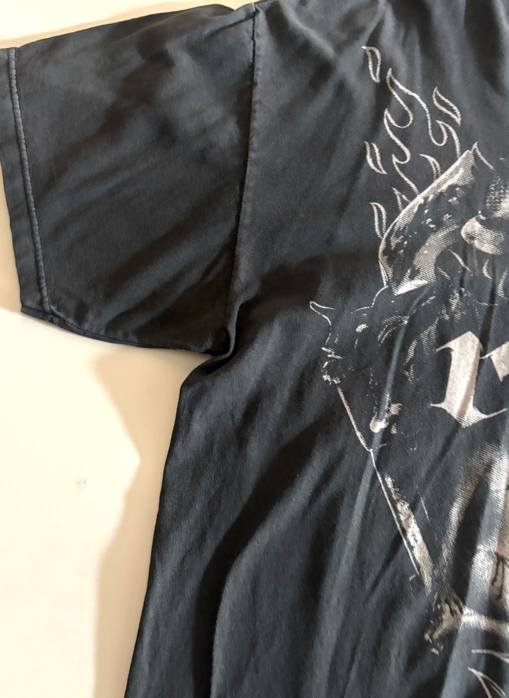 Polera de rock Kid Rock
